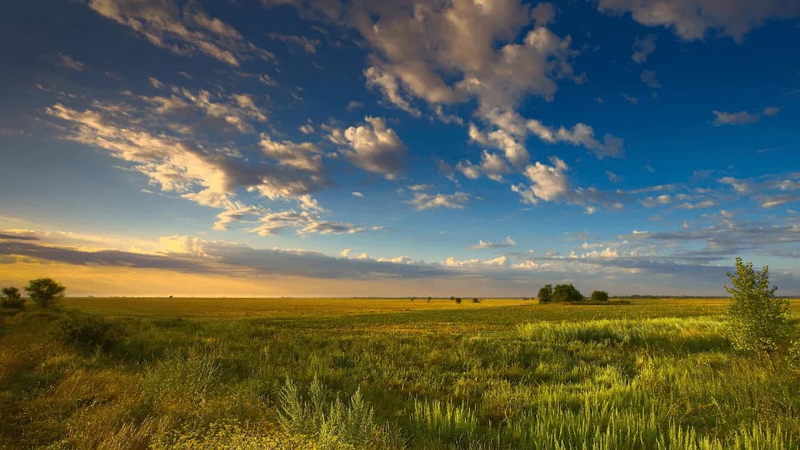 S'étendre vers de nouveaux horizons